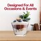 Clear Plastic Mini Verrine Sample Cube Cups - 2 oz. (240 Cups)